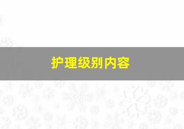 护理级别内容