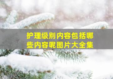 护理级别内容包括哪些内容呢图片大全集