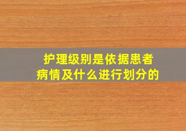 护理级别是依据患者病情及什么进行划分的