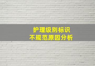 护理级别标识不规范原因分析