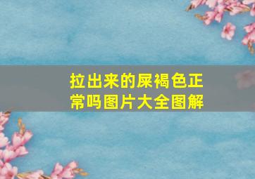 拉出来的屎褐色正常吗图片大全图解