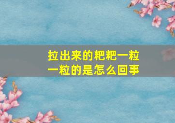 拉出来的粑粑一粒一粒的是怎么回事