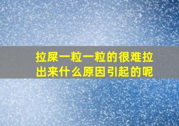 拉屎一粒一粒的很难拉出来什么原因引起的呢