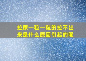 拉屎一粒一粒的拉不出来是什么原因引起的呢