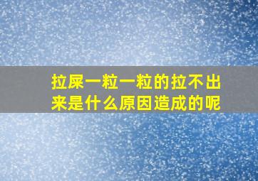 拉屎一粒一粒的拉不出来是什么原因造成的呢