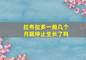 拉布拉多一般几个月就停止生长了吗