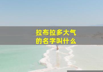 拉布拉多大气的名字叫什么