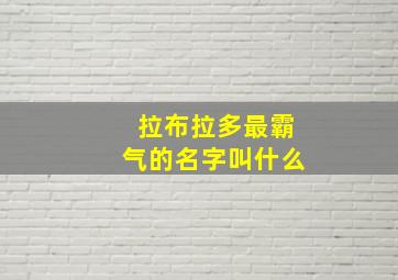 拉布拉多最霸气的名字叫什么