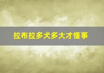 拉布拉多犬多大才懂事