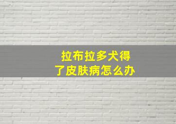 拉布拉多犬得了皮肤病怎么办