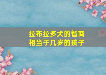 拉布拉多犬的智商相当于几岁的孩子