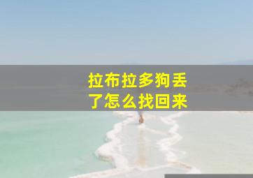 拉布拉多狗丢了怎么找回来