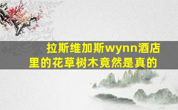 拉斯维加斯wynn酒店里的花草树木竟然是真的