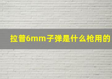 拉普6mm子弹是什么枪用的