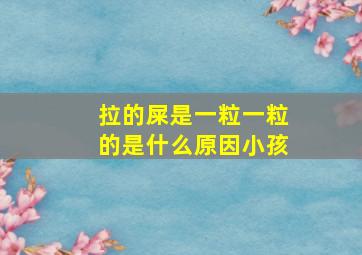 拉的屎是一粒一粒的是什么原因小孩