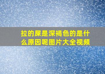 拉的屎是深褐色的是什么原因呢图片大全视频