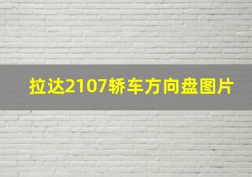 拉达2107轿车方向盘图片