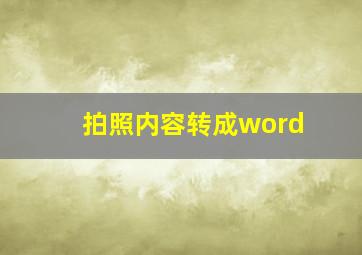 拍照内容转成word