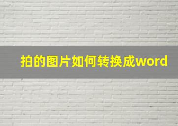 拍的图片如何转换成word