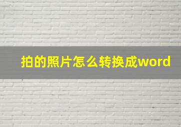 拍的照片怎么转换成word