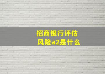 招商银行评估风险a2是什么