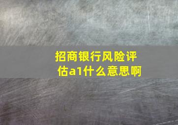 招商银行风险评估a1什么意思啊