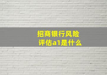 招商银行风险评估a1是什么