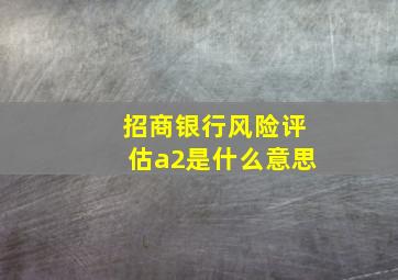 招商银行风险评估a2是什么意思