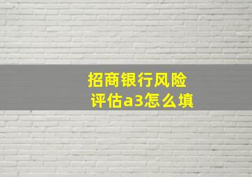 招商银行风险评估a3怎么填