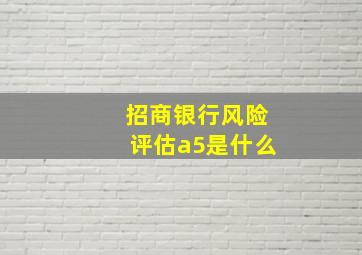 招商银行风险评估a5是什么