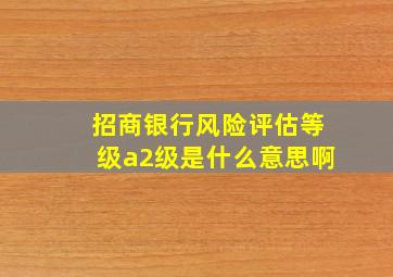 招商银行风险评估等级a2级是什么意思啊