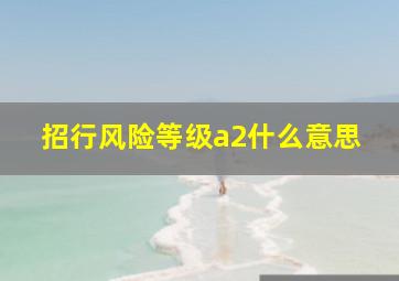 招行风险等级a2什么意思