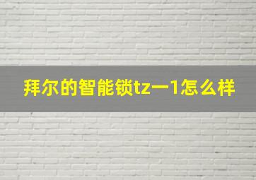 拜尔的智能锁tz一1怎么样