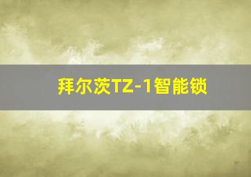 拜尔茨TZ-1智能锁