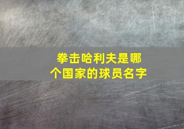 拳击哈利夫是哪个国家的球员名字