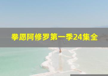 拳愿阿修罗第一季24集全