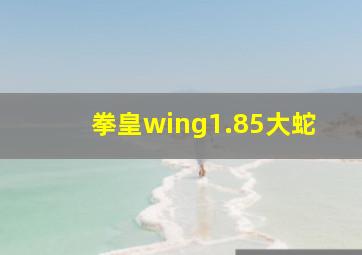 拳皇wing1.85大蛇