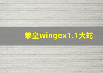 拳皇wingex1.1大蛇