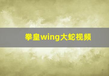 拳皇wing大蛇视频