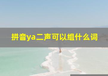 拼音ya二声可以组什么词