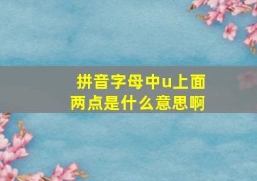 拼音字母中u上面两点是什么意思啊