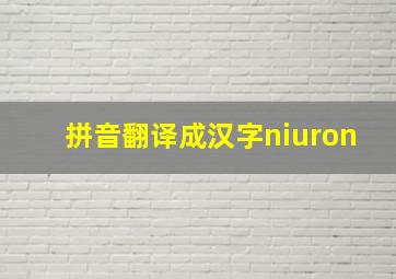 拼音翻译成汉字niuron