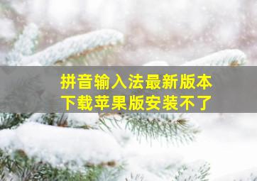 拼音输入法最新版本下载苹果版安装不了