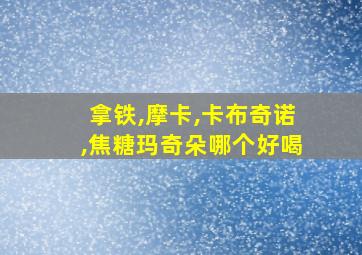 拿铁,摩卡,卡布奇诺,焦糖玛奇朵哪个好喝