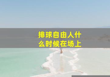 排球自由人什么时候在场上