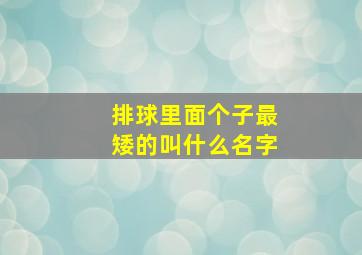 排球里面个子最矮的叫什么名字