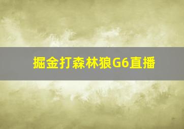 掘金打森林狼G6直播