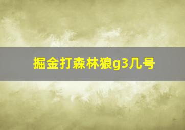 掘金打森林狼g3几号