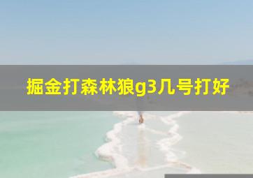 掘金打森林狼g3几号打好