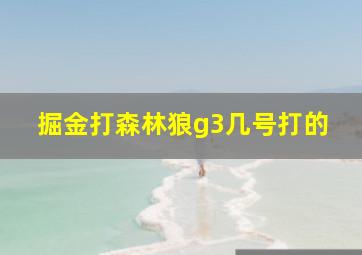 掘金打森林狼g3几号打的